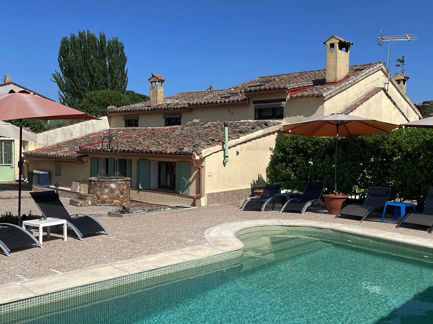 Patio trasero y piscina Casa Rural Los Cipreses de Mesones Guadalajara cerca de Madrid - Foto del patio trasero y la piscina