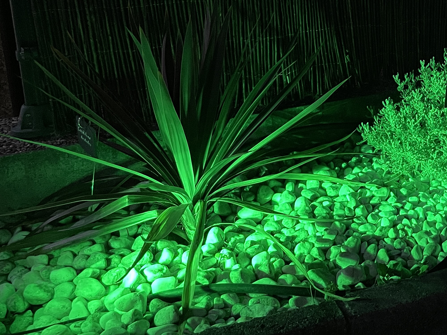 casa-rural-madrid-guadalajara-loscipresesdemesones-parterre-iluminado Habitación de Los Cipreses